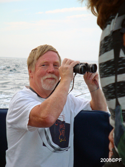 Per looking for Dolphins