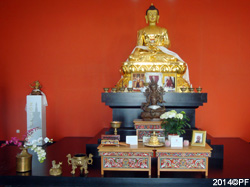 Buddha Statue in the Temple