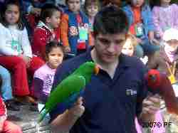Parrots in the show at Fuengirola Zoo